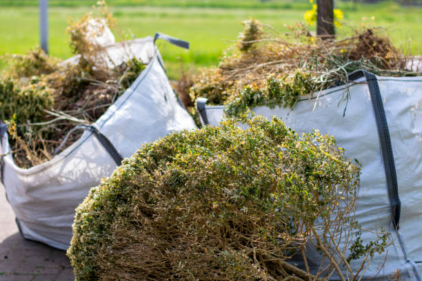 Best Full-Service Junk Removal  in West Alexandria, OH